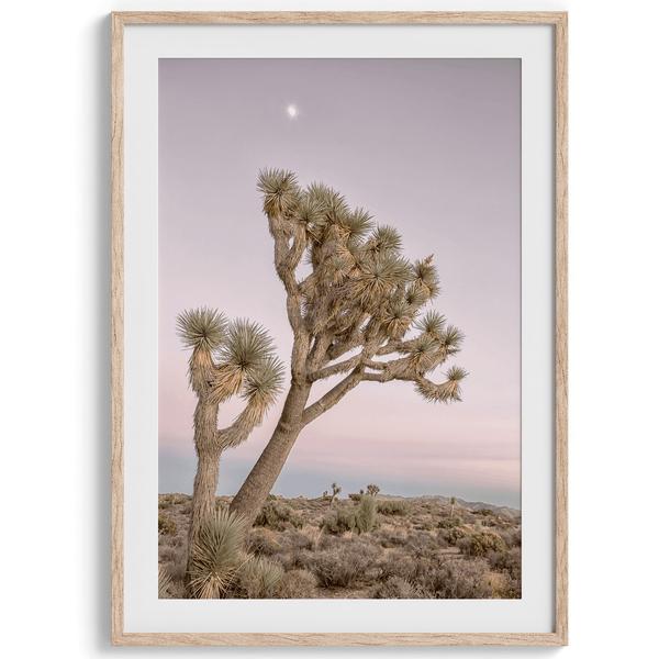 Moonlit Desert - Wow Photo Art