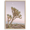 Joshua tree wall art featuring a pink desert sunset, with a tall Joshua tree silhouetted against the sky.