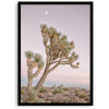 Joshua tree wall art featuring a pink desert sunset, with a tall Joshua tree silhouetted against the sky.