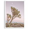 Joshua tree wall art featuring a pink desert sunset, with a tall Joshua tree silhouetted against the sky.