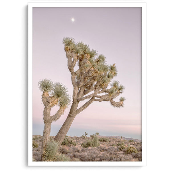 Joshua tree wall art featuring a pink desert sunset, with a tall Joshua tree silhouetted against the sky.