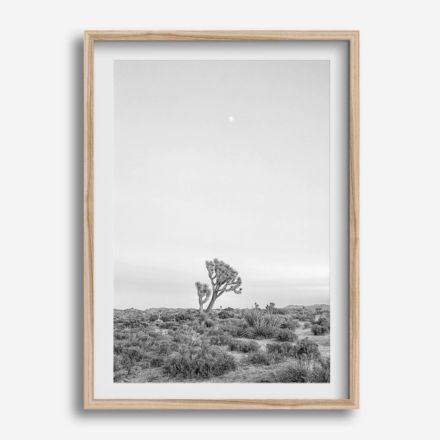 Black and white photo of a lone Joshua Tree at sunset in a desert landscape.