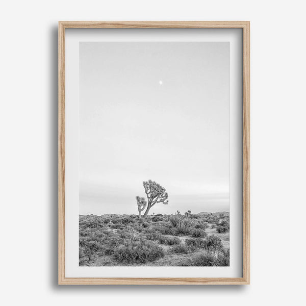 Black and white photo of a lone Joshua Tree at sunset in a desert landscape.