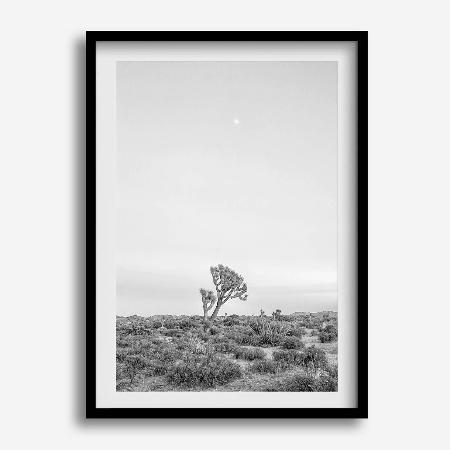 Black and white photo of a lone Joshua Tree at sunset in a desert landscape.