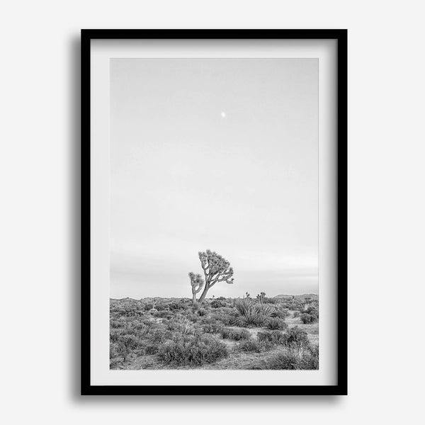 Black and white photo of a lone Joshua Tree at sunset in a desert landscape.