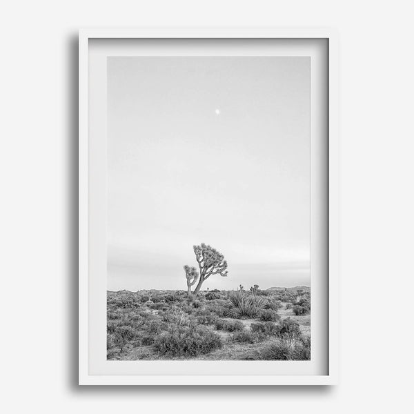Black and white photo of a lone Joshua Tree at sunset in a desert landscape.