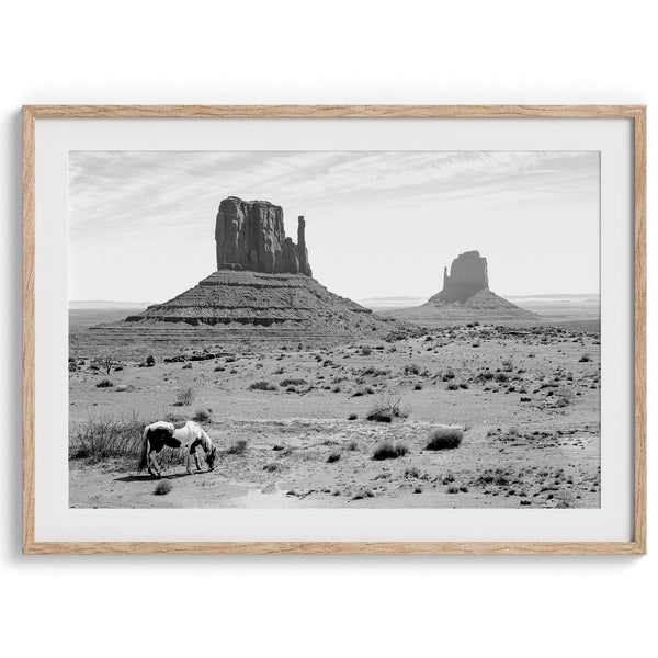 Black and white photograph of a horse grazing in Monument Valley with towering rock formations in the background.