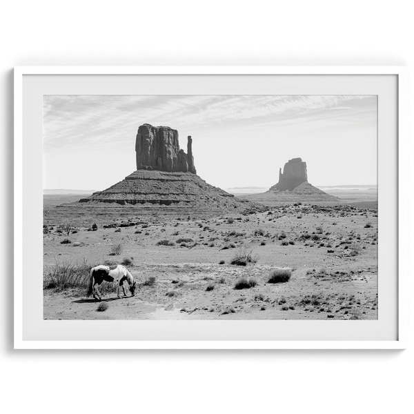 Desert Horse - Wow Photo Art
