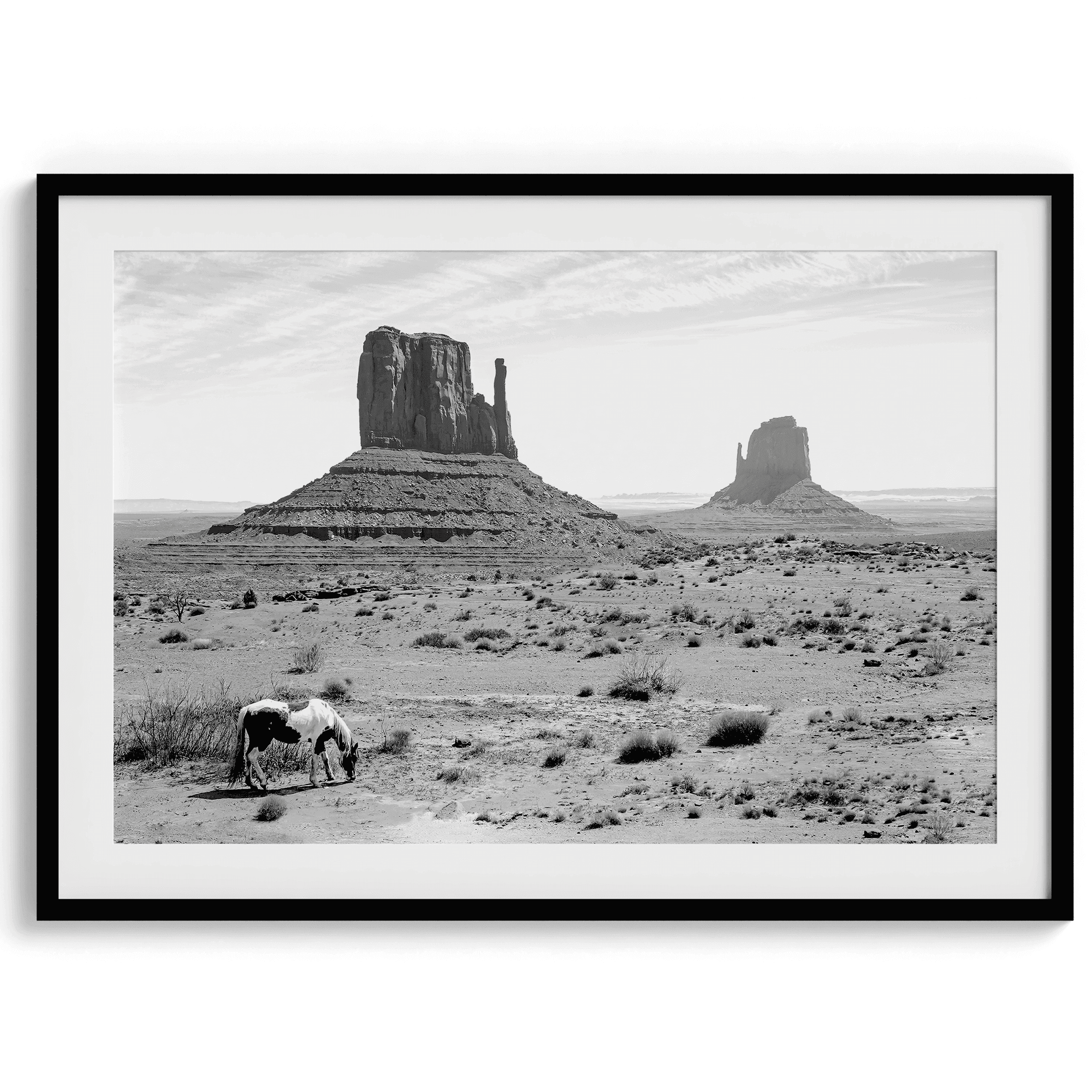 Desert Horse - Wow Photo Art