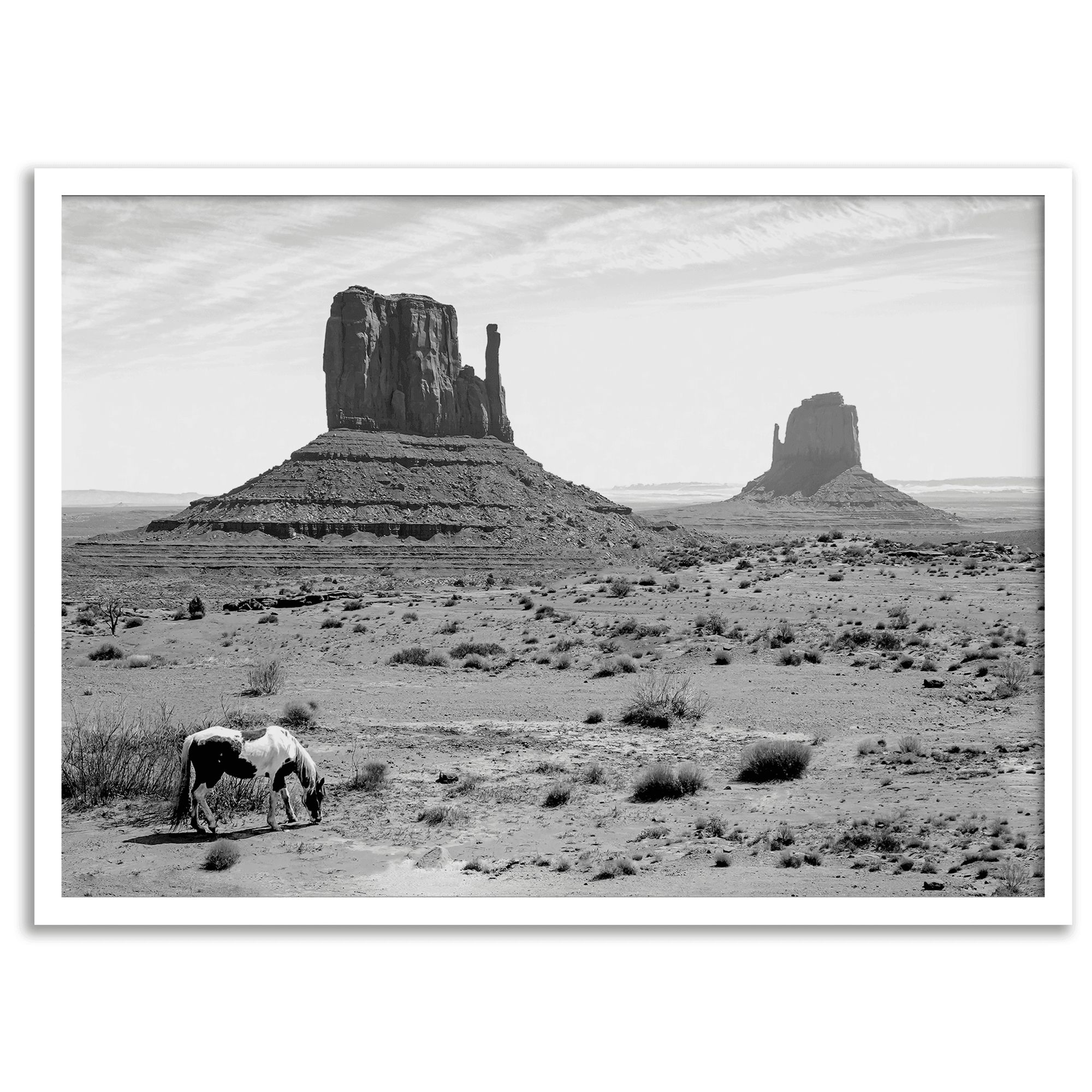 Large-Western-Desert-Horse-Black-and-White-Photo-Print-Framed-8