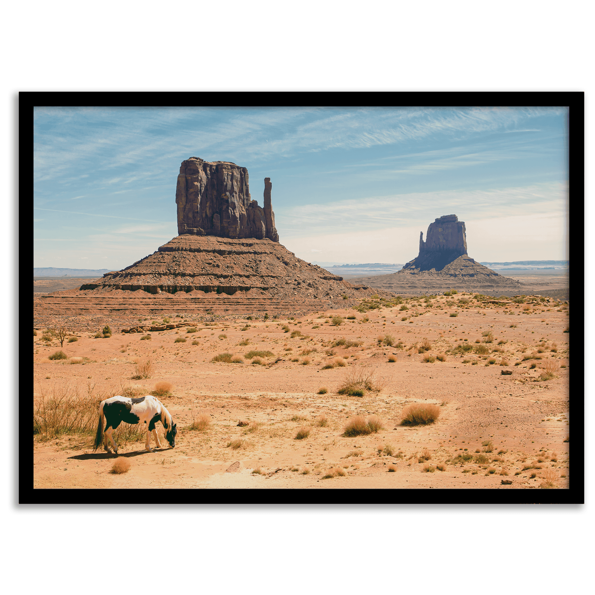 Large-Western-Desert-Horse-Photo-Print-Framed-8