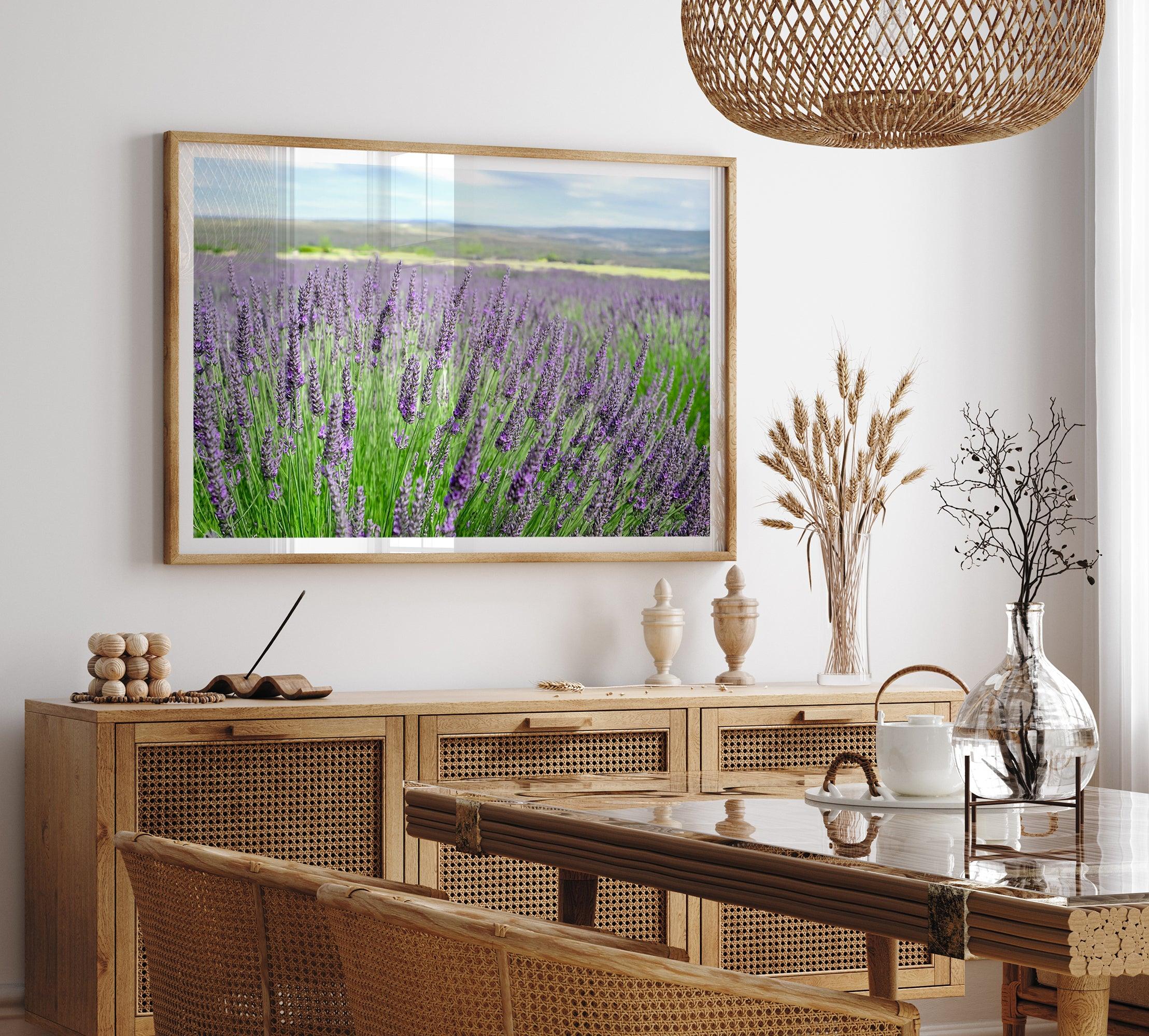 Lavender field in Washington State with vibrant purple blooms under a clear blue sky, featured as wall art.