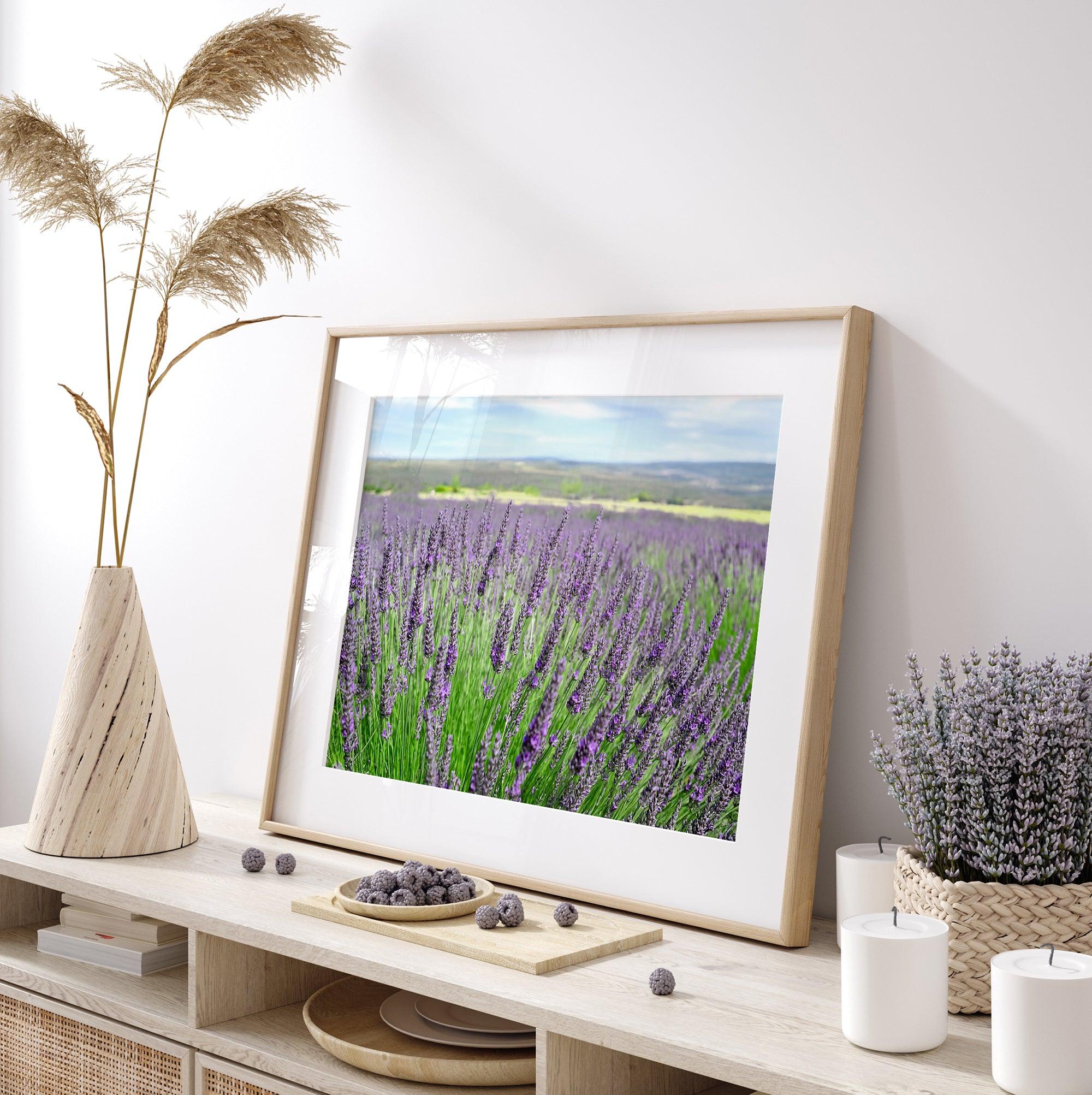 Lavender field in Washington State with vibrant purple blooms under a clear blue sky, featured as wall art.