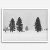 Snowy winter scene artwork with tall pine trees in a peaceful snow-covered field, perfect for minimalist wall decor.