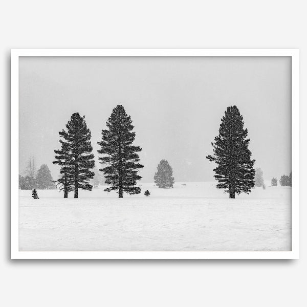 Snowy winter scene artwork with tall pine trees in a peaceful snow-covered field, perfect for minimalist wall decor.