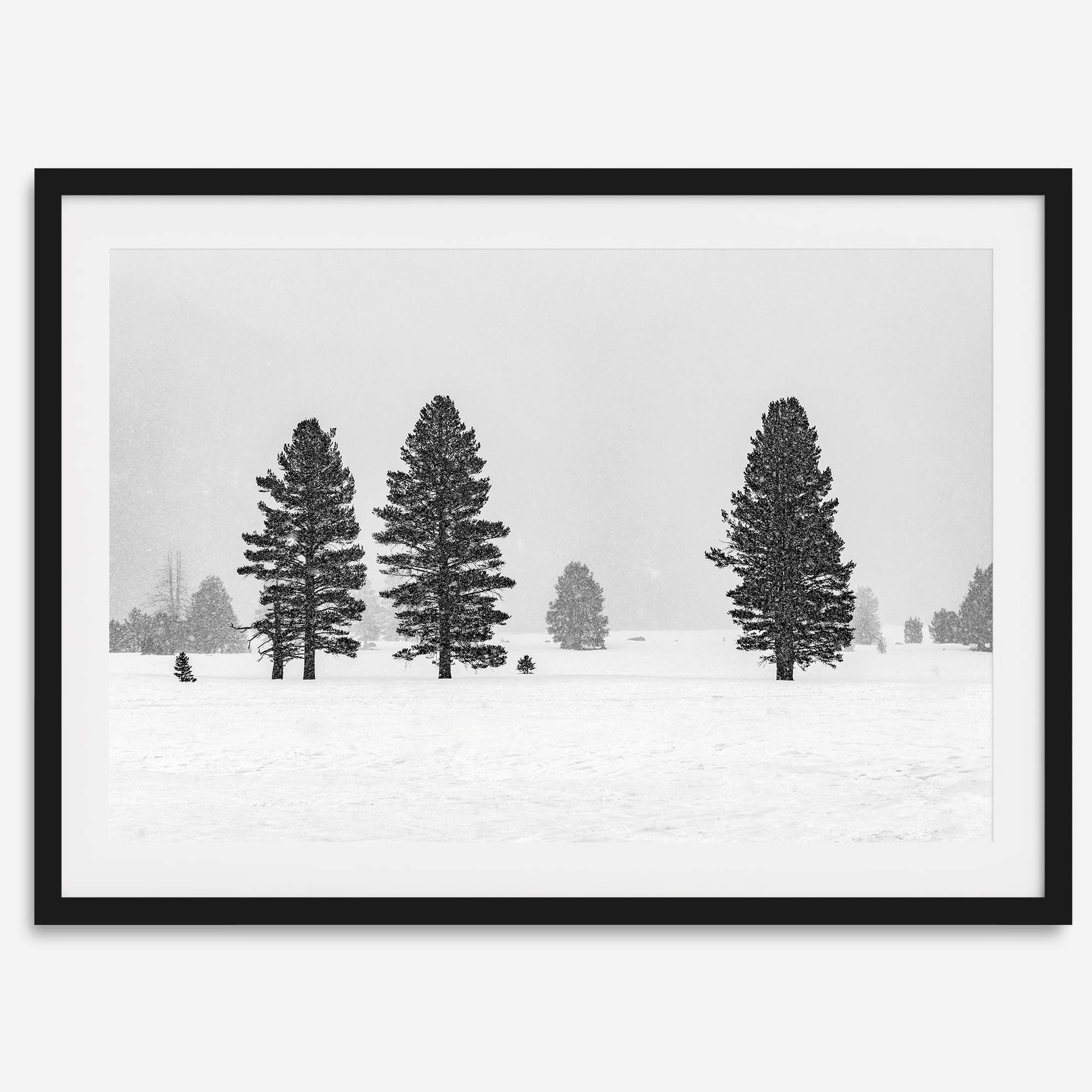 Snowy winter scene artwork with tall pine trees in a peaceful snow-covered field, perfect for minimalist wall decor.