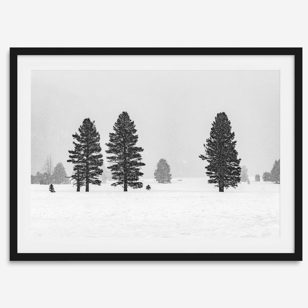 Snowy winter scene artwork with tall pine trees in a peaceful snow-covered field, perfect for minimalist wall decor.