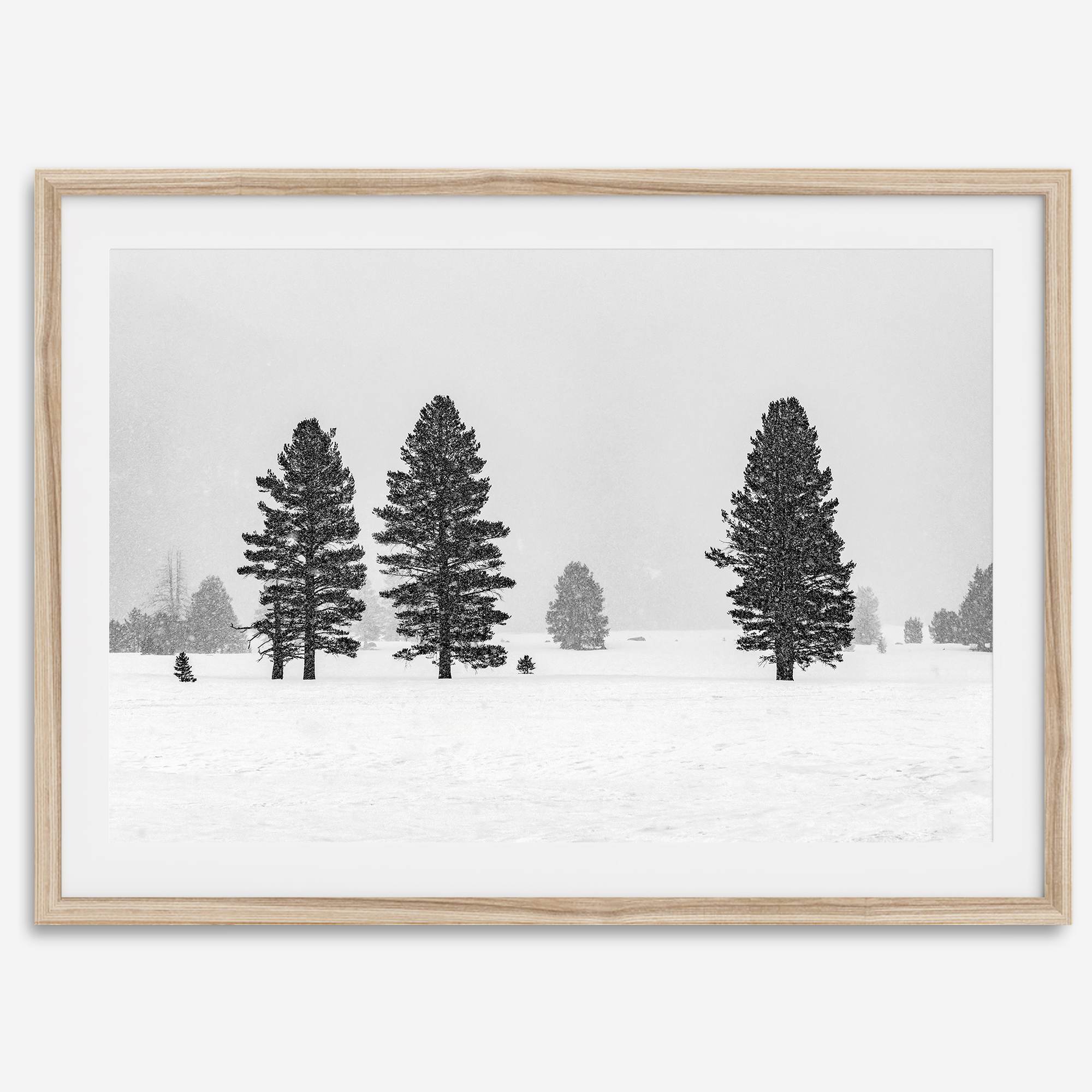 Snowy winter scene artwork with tall pine trees in a peaceful snow-covered field, perfect for minimalist wall decor.