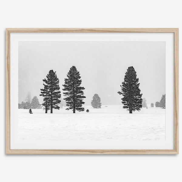 Snowy winter scene artwork with tall pine trees in a peaceful snow-covered field, perfect for minimalist wall decor.