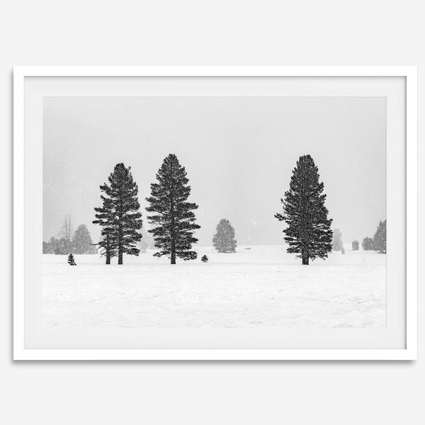 Snowy winter scene artwork with tall pine trees in a peaceful snow-covered field, perfect for minimalist wall decor.