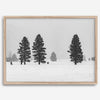 Snowy winter scene artwork with tall pine trees in a peaceful snow-covered field, perfect for minimalist wall decor.