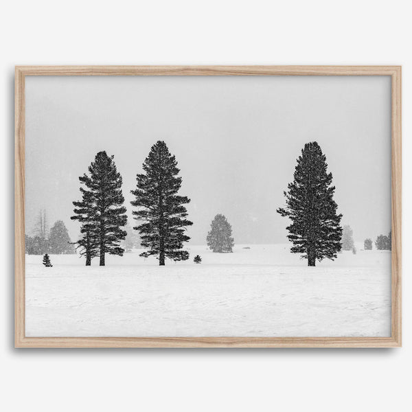 Snowy winter scene artwork with tall pine trees in a peaceful snow-covered field, perfect for minimalist wall decor.