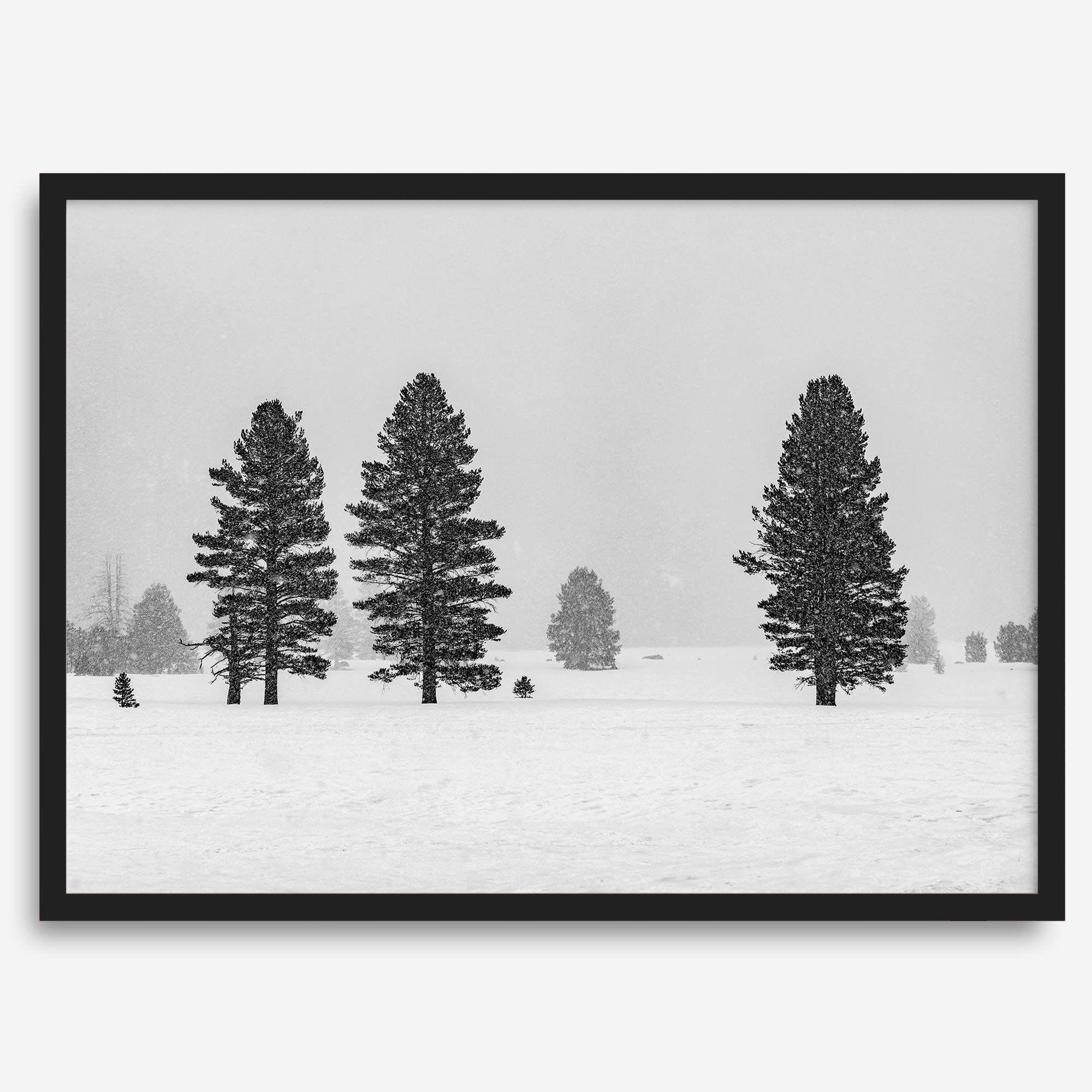 Snowy winter scene artwork with tall pine trees in a peaceful snow-covered field, perfect for minimalist wall decor.