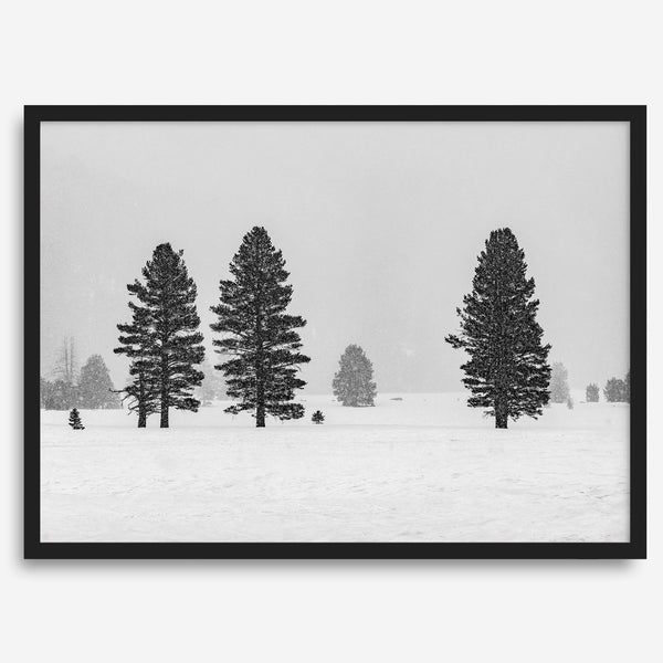 Snowy winter scene artwork with tall pine trees in a peaceful snow-covered field, perfect for minimalist wall decor.