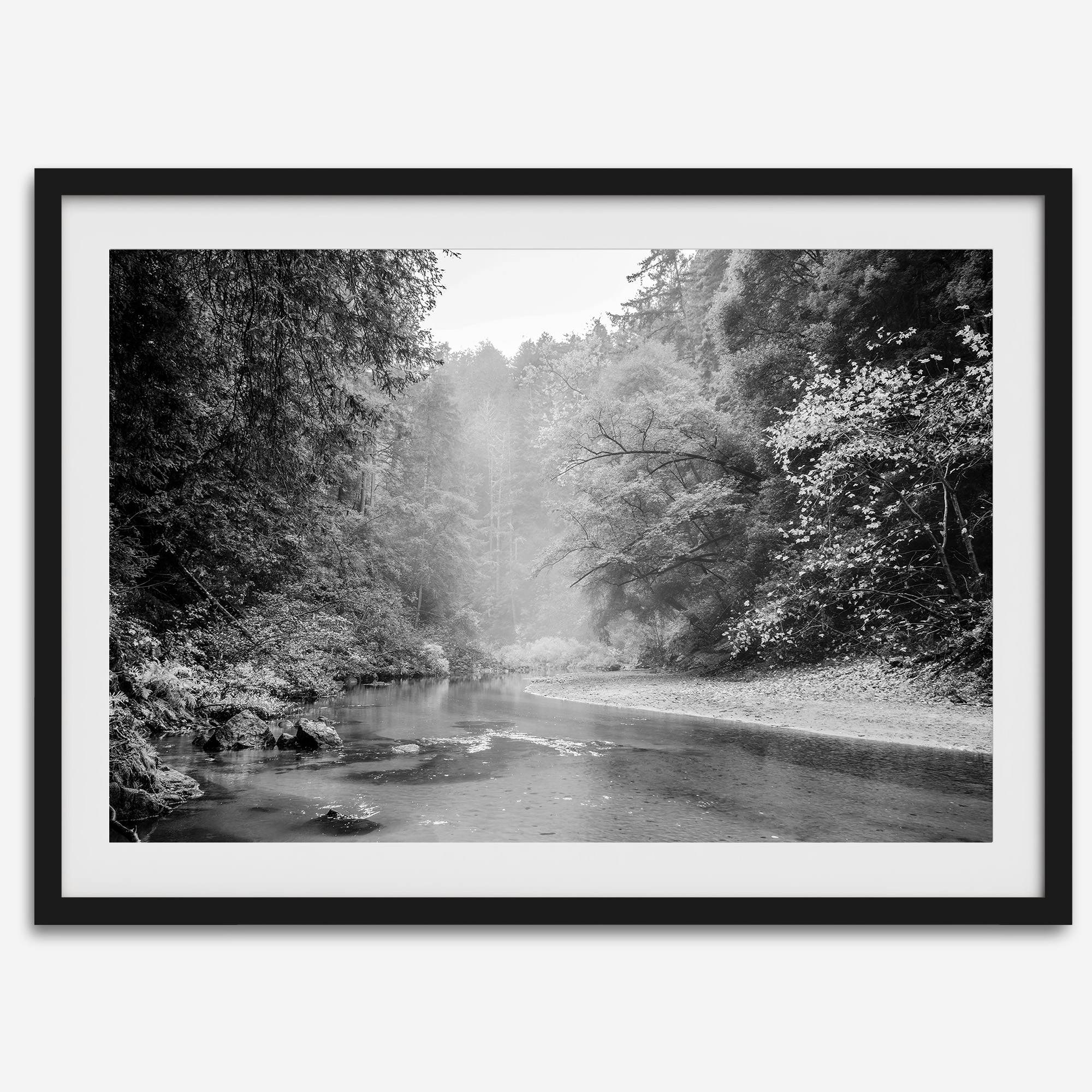 A minimalist fine art misty forest river photography wall art featuring a misty river in Henry Cowell Redwoods State Park, California.