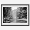 A minimalist fine art misty forest river photography wall art featuring a misty river in Henry Cowell Redwoods State Park, California.