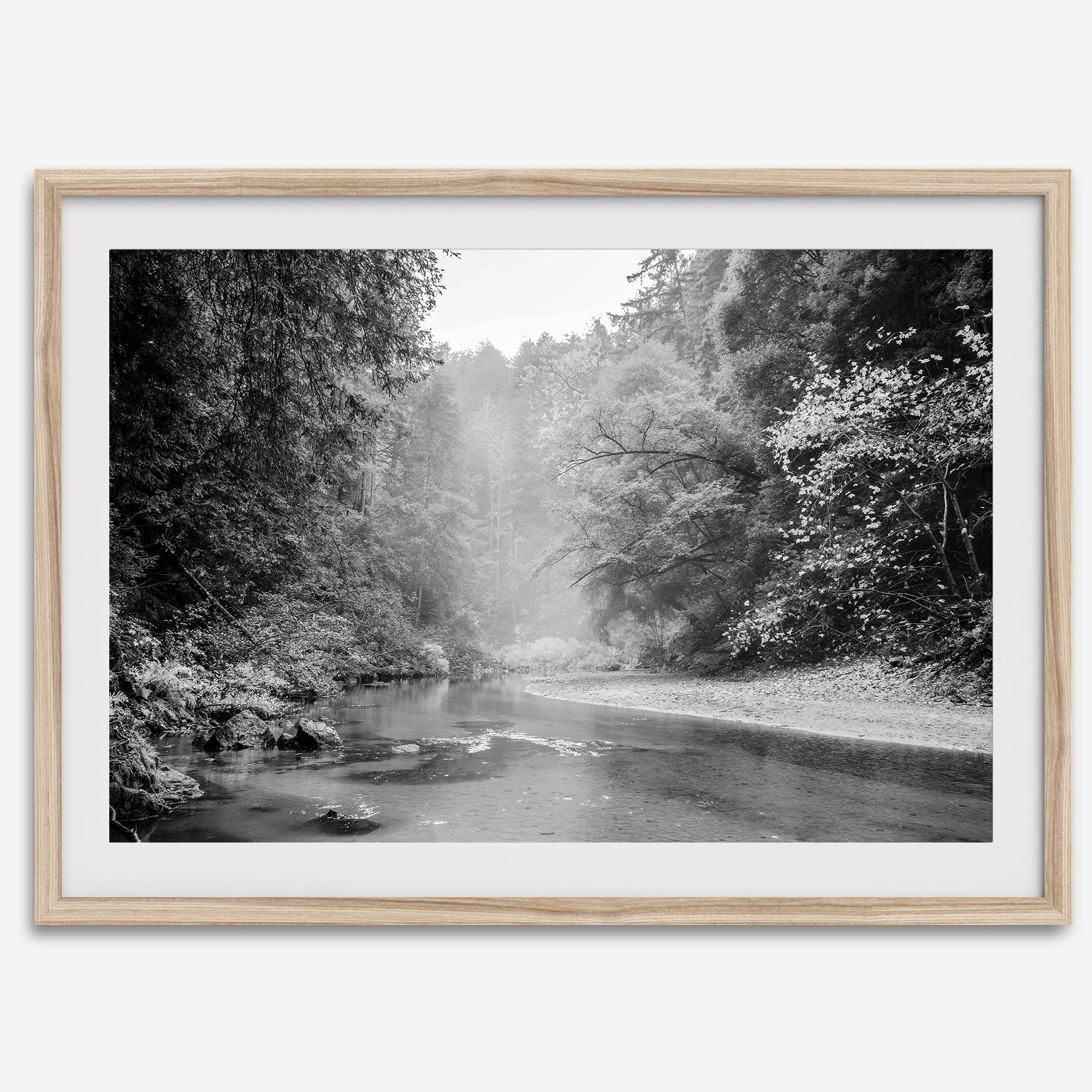 A minimalist fine art misty forest river photography wall art featuring a misty river in Henry Cowell Redwoods State Park, California.