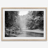 A minimalist fine art misty forest river photography wall art featuring a misty river in Henry Cowell Redwoods State Park, California.