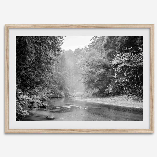 A minimalist fine art misty forest river photography wall art featuring a misty river in Henry Cowell Redwoods State Park, California.