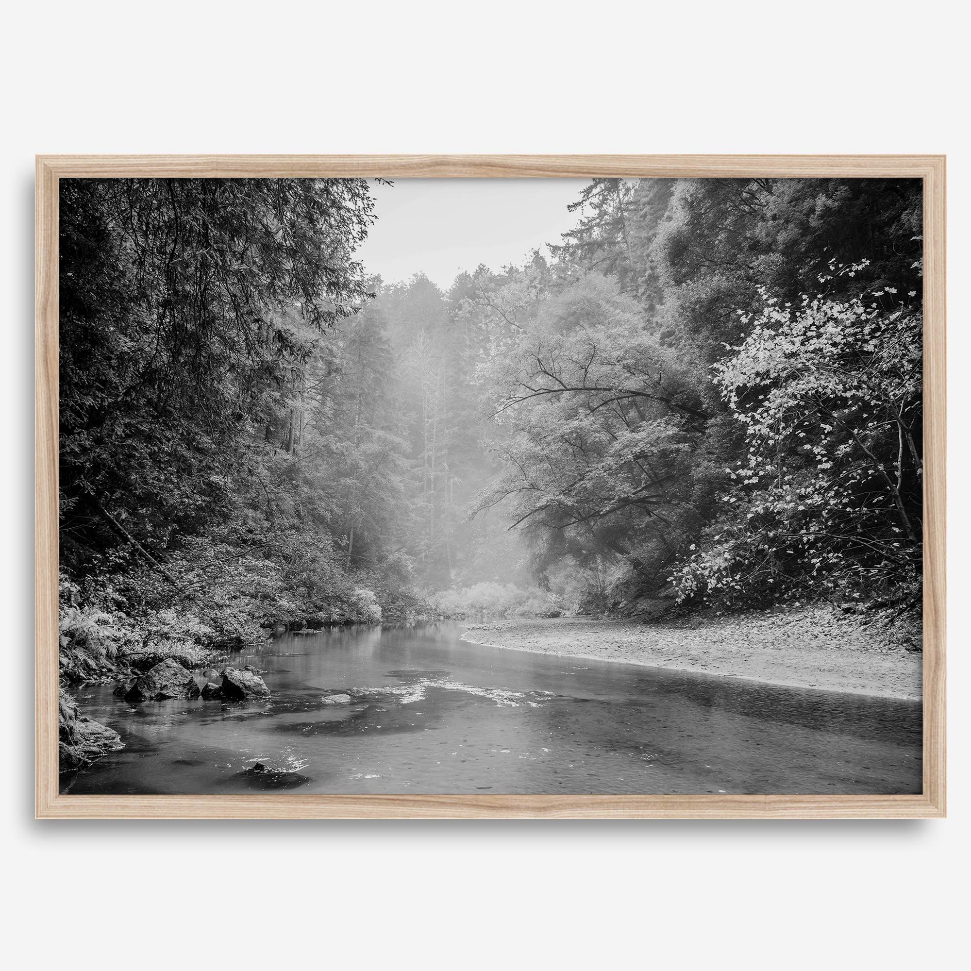A minimalist fine art misty forest river photography wall art featuring a misty river in Henry Cowell Redwoods State Park, California.