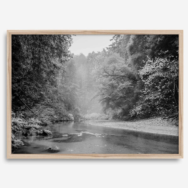 A minimalist fine art misty forest river photography wall art featuring a misty river in Henry Cowell Redwoods State Park, California.