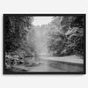 A minimalist fine art misty forest river photography wall art featuring a misty river in Henry Cowell Redwoods State Park, California.