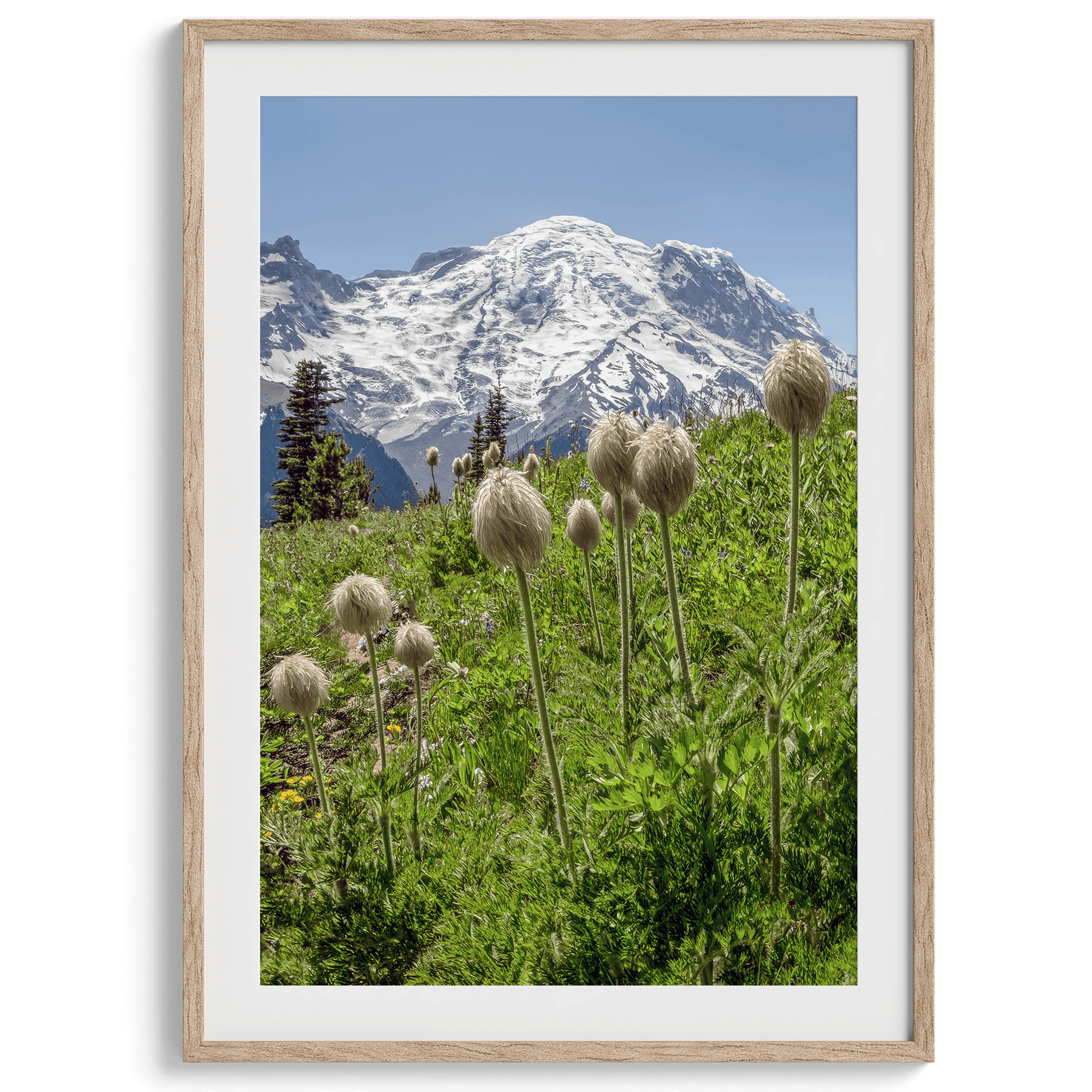 Mount Rainier II - Wow Photo Art