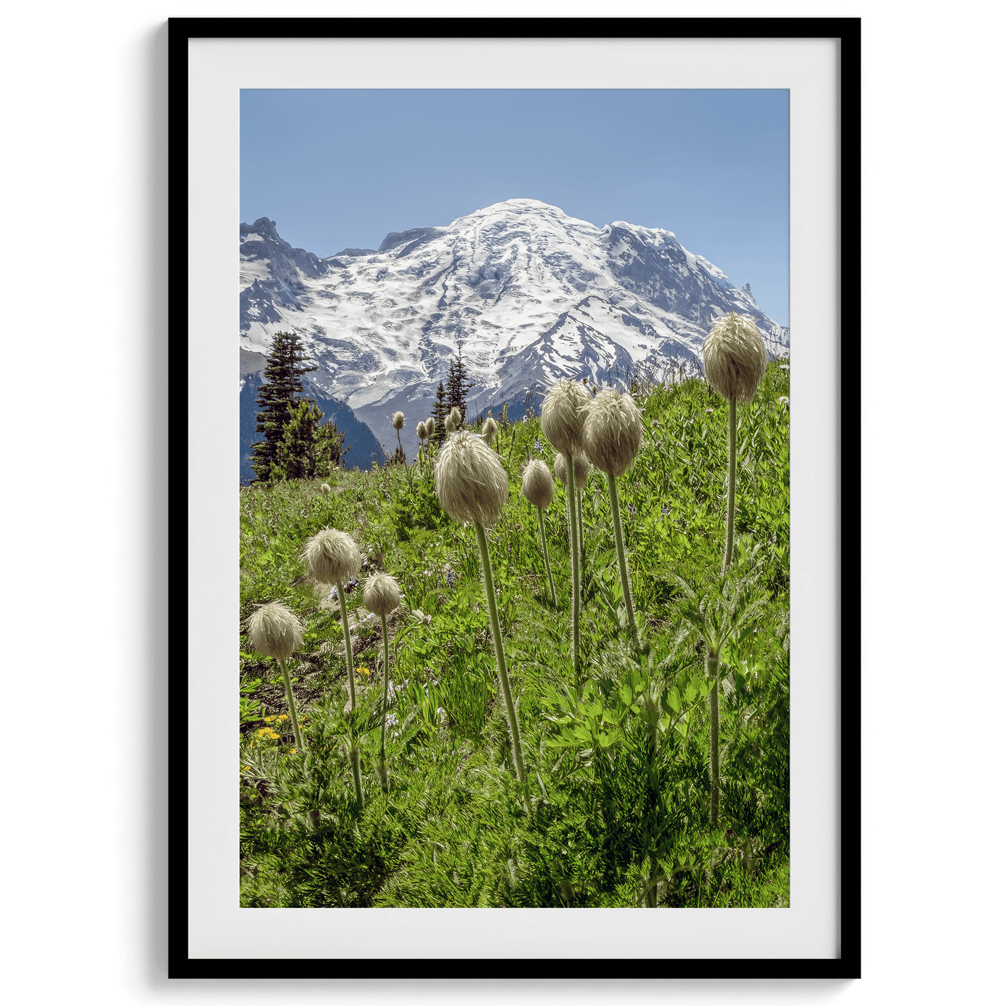 Mount Rainier II - Wow Photo Art