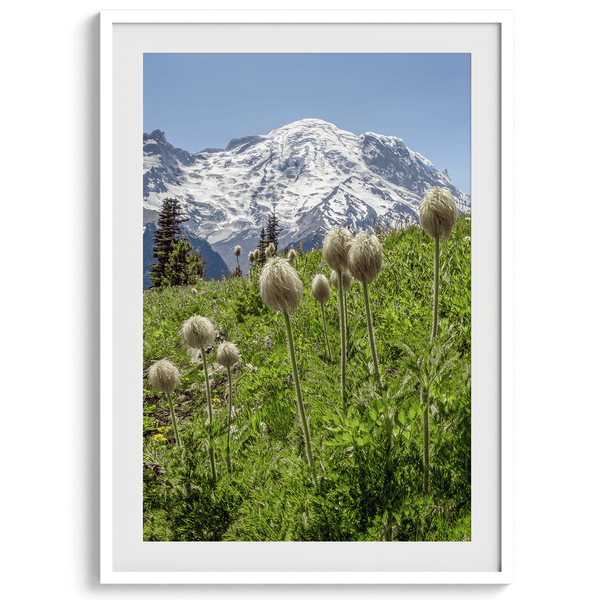 Mount Rainier II - Wow Photo Art