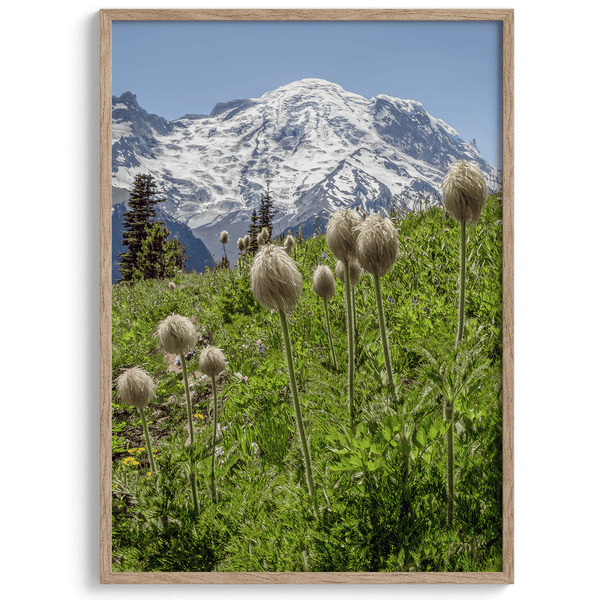 Mount Rainier II - Wow Photo Art