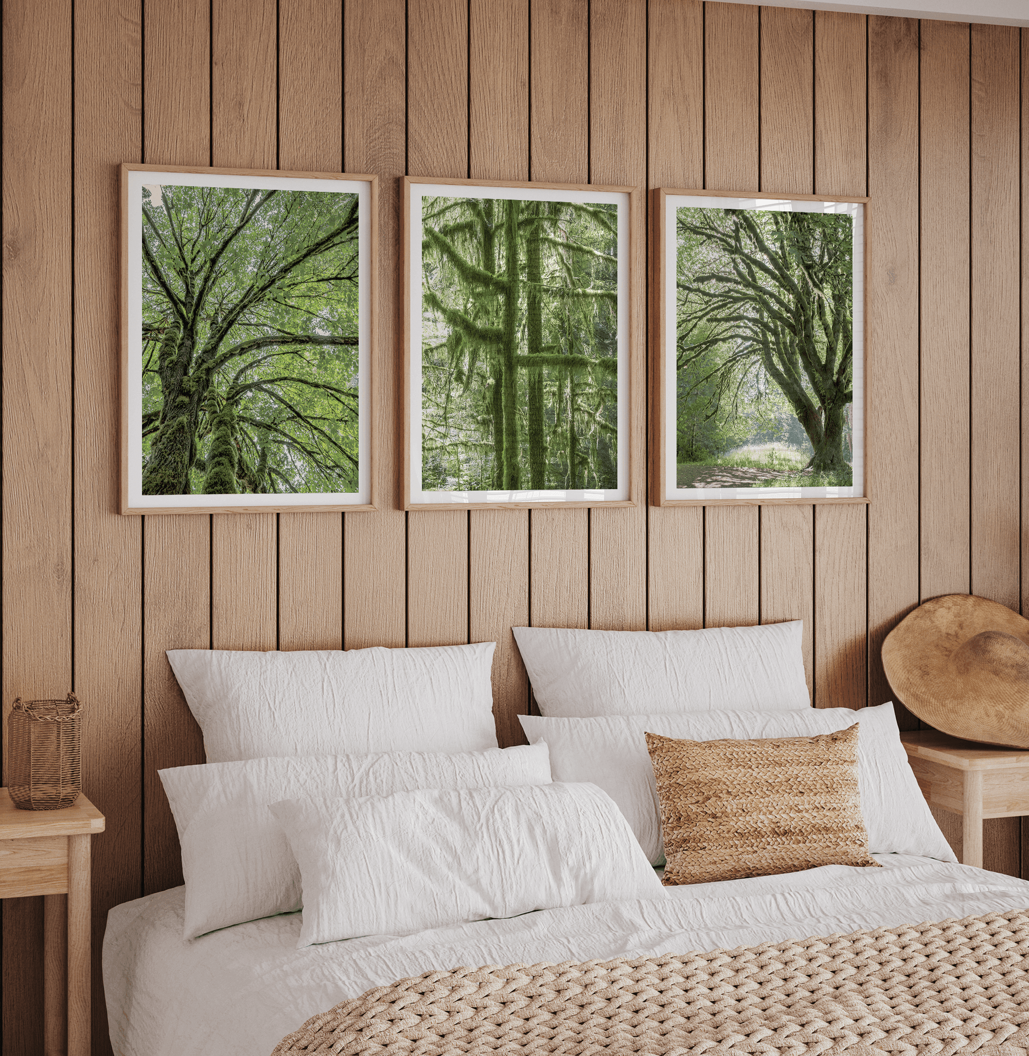 A fine art set of 3 nature prints. This 3 piece extra-large wall art showcases lush and moss-filled forests in Washington state from different angles. Taken in Hall of Mosses, Olympic National Park.