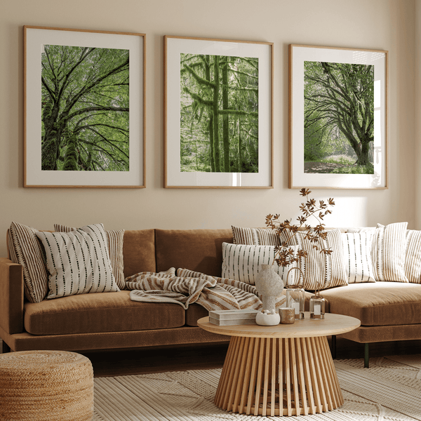 A fine art set of 3 nature prints. This 3 piece extra-large wall art showcases lush and moss-filled forests in Washington state from different angles. Taken in Hall of Mosses, Olympic National Park.