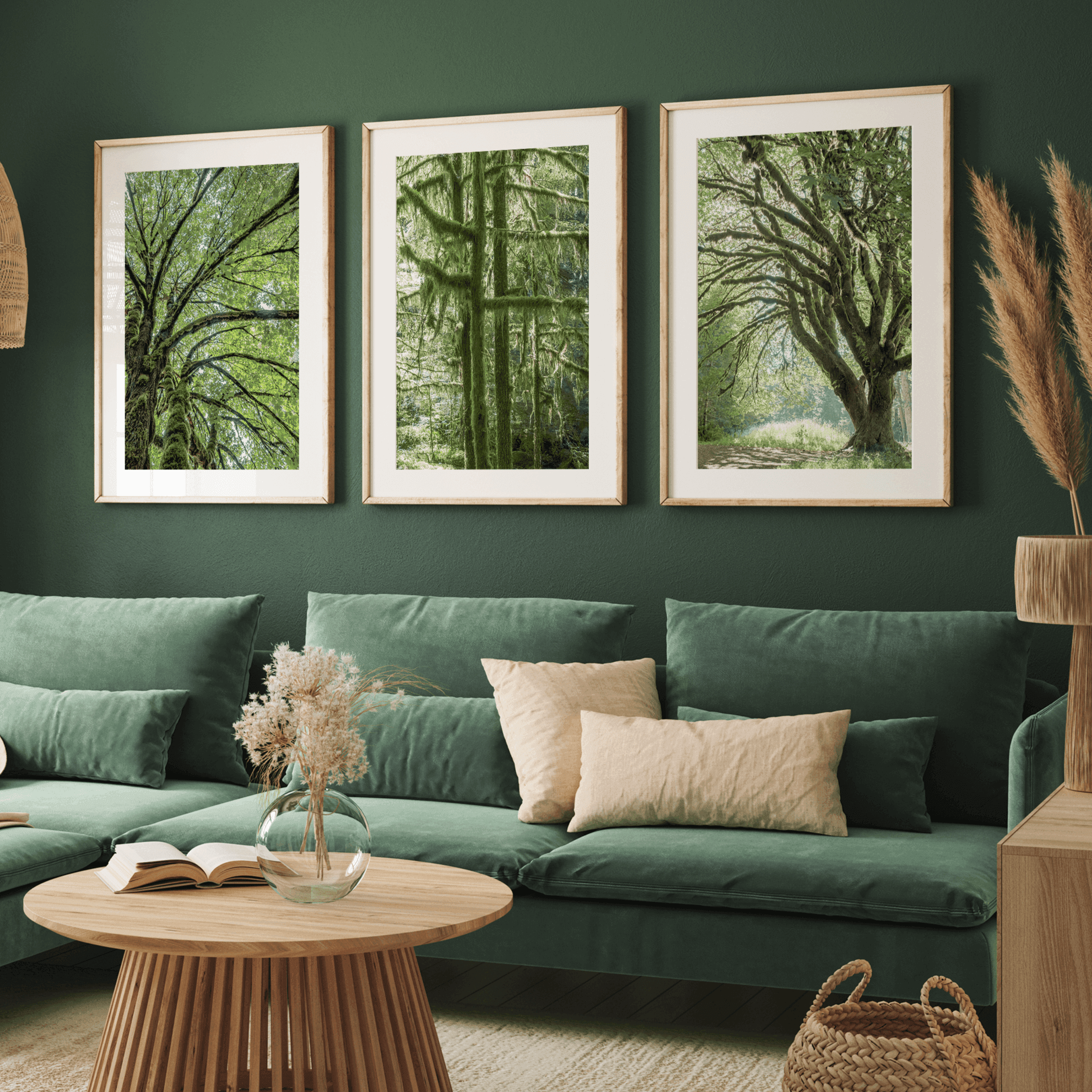 A fine art set of 3 nature prints. This 3 piece extra-large wall art showcases lush and moss-filled forests in Washington state from different angles. Taken in Hall of Mosses, Olympic National Park.