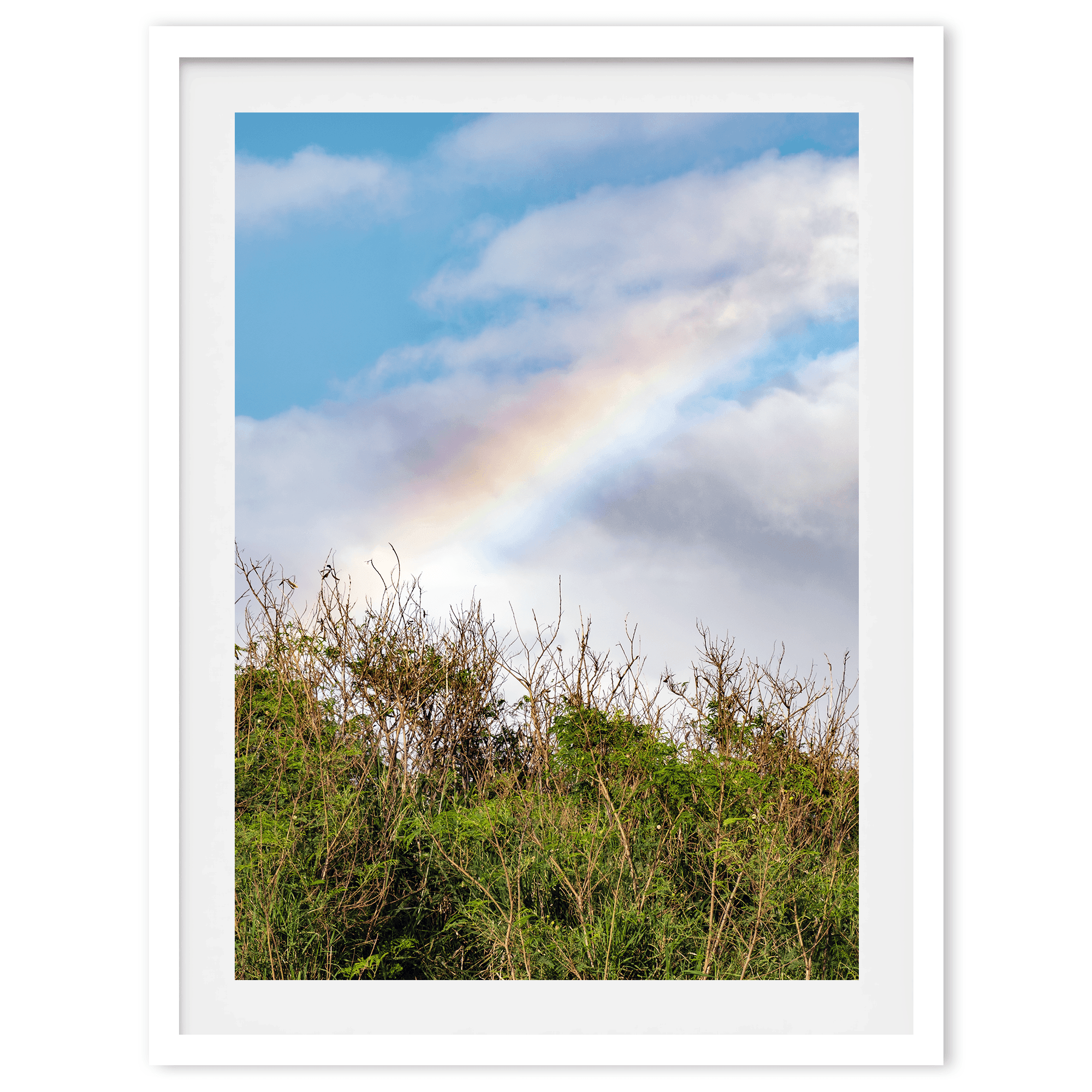 Cloudy Rainbow - Wow Photo Art