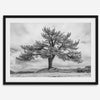 Large tree wall art featuring a black and white photograph of a Yosemite pine tree against a cloudy sky.