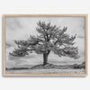 Large tree wall art featuring a black and white photograph of a Yosemite pine tree against a cloudy sky.