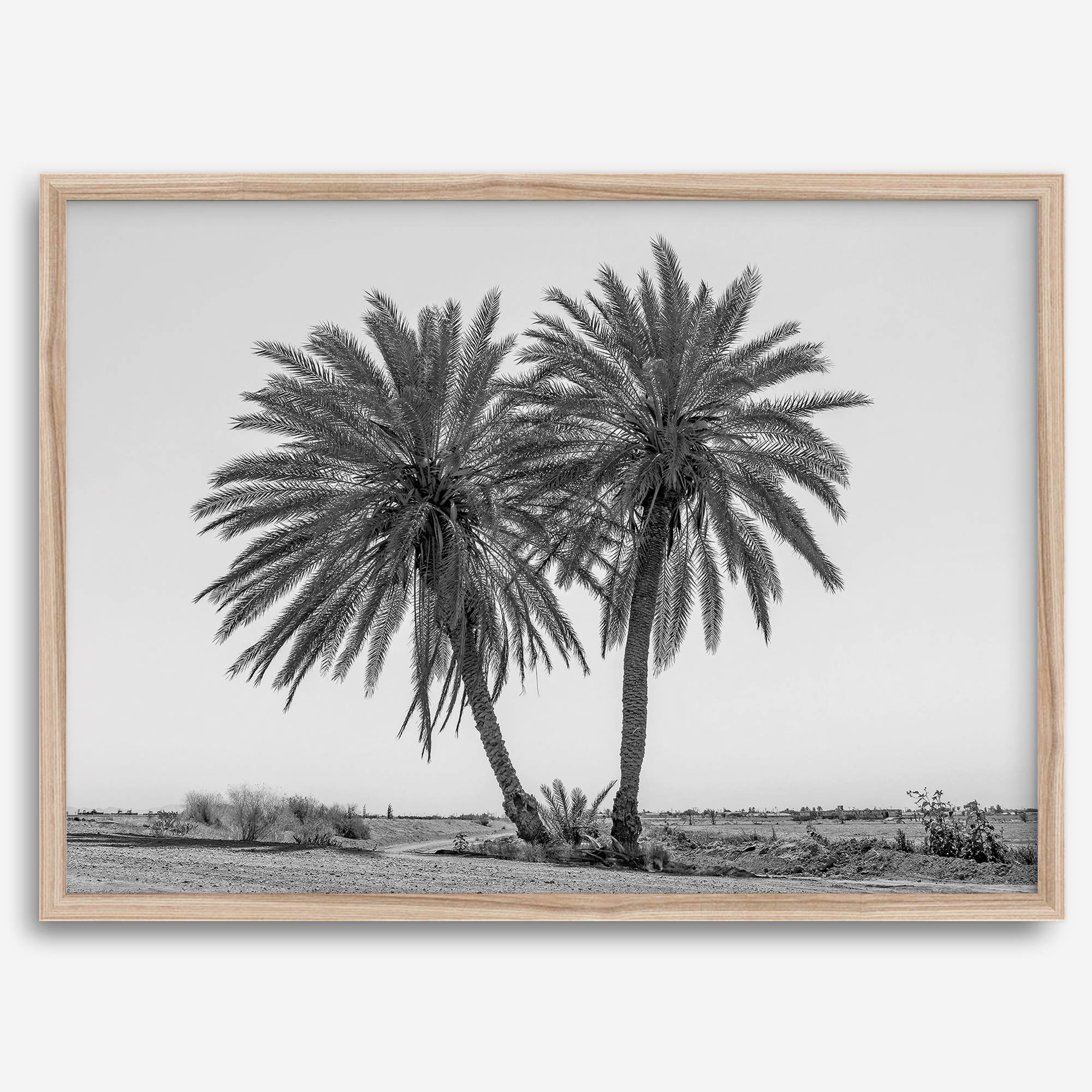 Black and white fine art print of two palm trees in a minimalist desert landscape with clear sky.