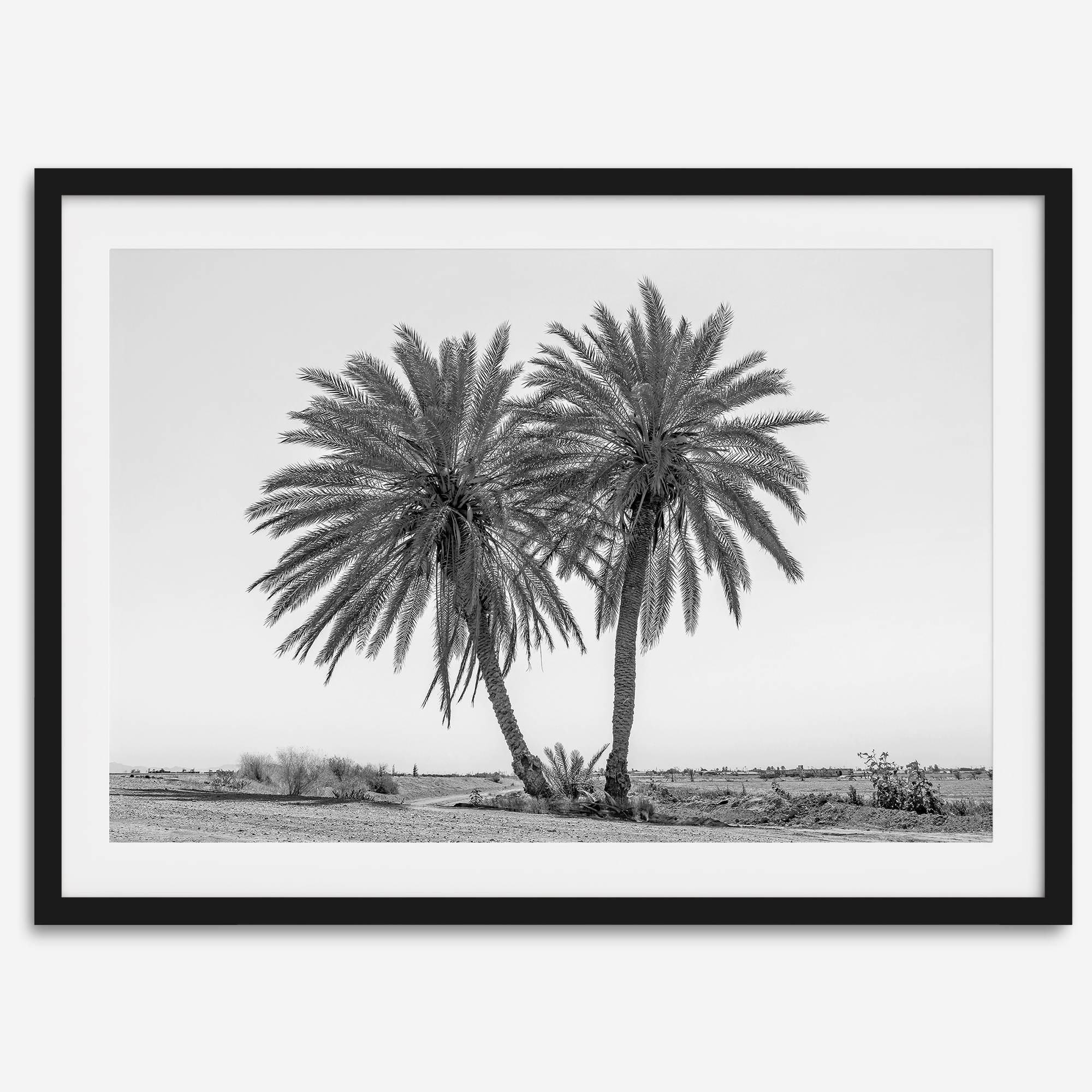Black and white fine art print of two palm trees in a minimalist desert landscape with clear sky.