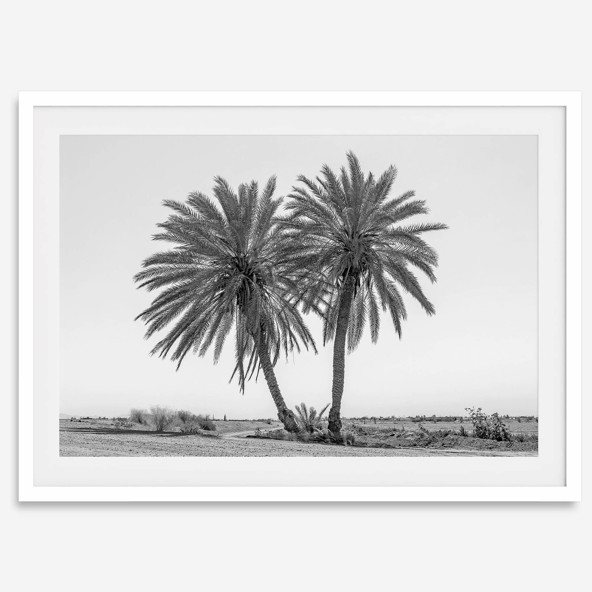Black and white fine art print of two palm trees in a minimalist desert landscape with clear sky.
