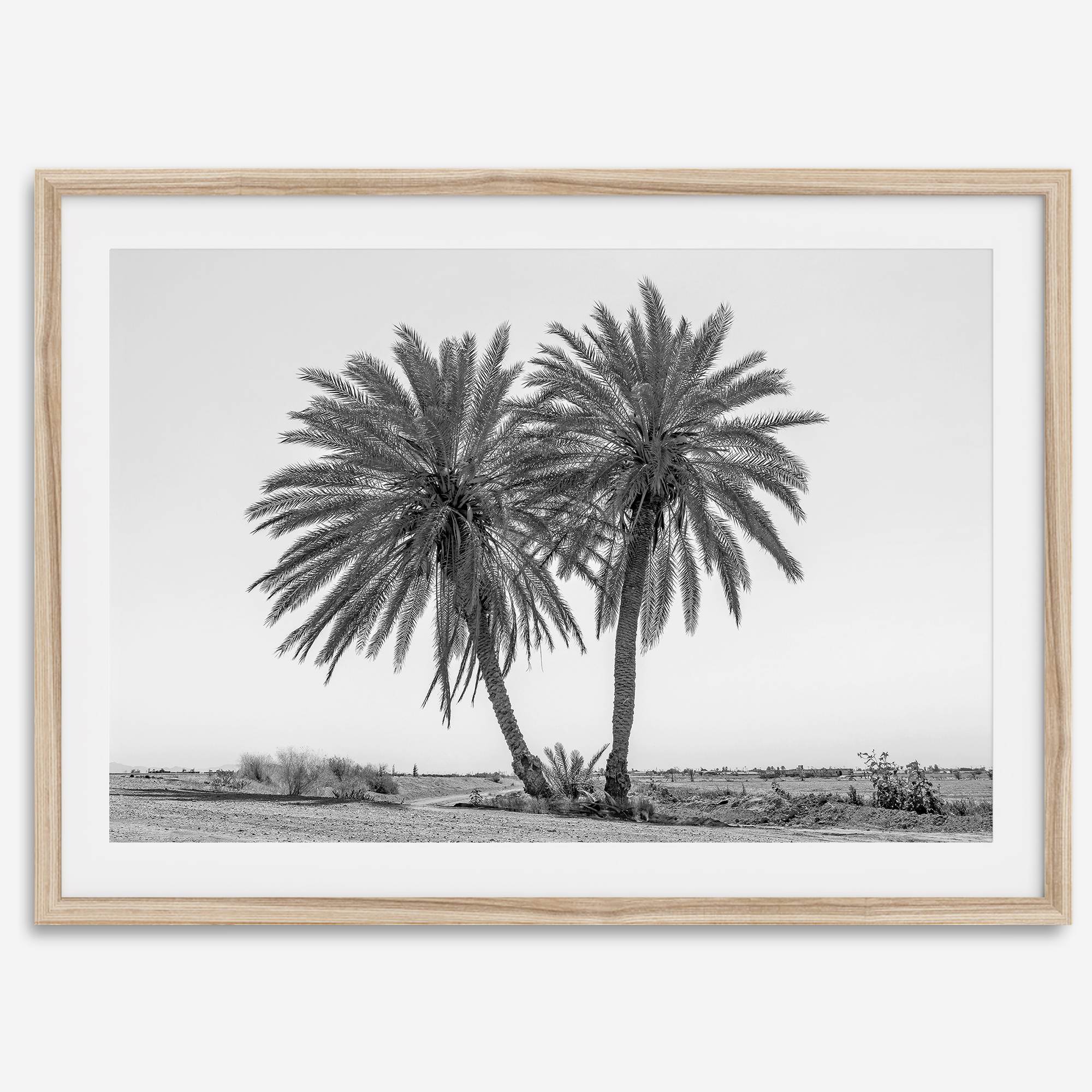 Black and white fine art print of two palm trees in a minimalist desert landscape with clear sky.